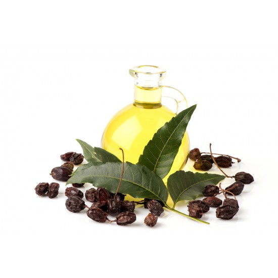 ΛΑΔΙ NEEM (Neem seed oil cold pressed)